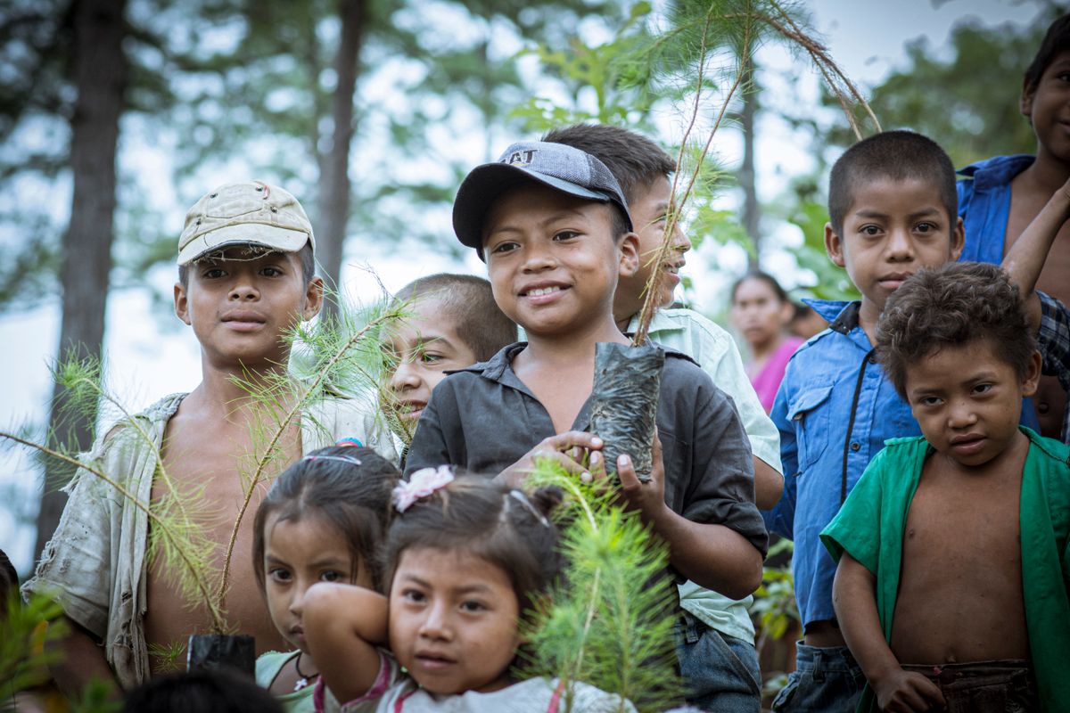 Niños en Guatemala participando en una actividad comunitaria de siembra
